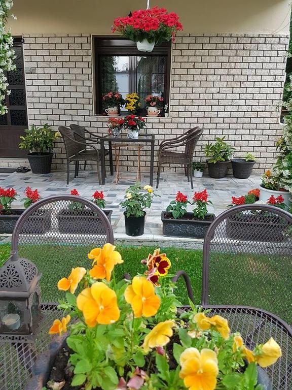 Guest House Vaso Orma Exterior photo